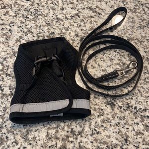 Cat Leash and Harness - Size: M